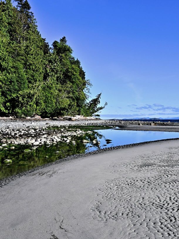 Photo of Cedar ocean and shoreline